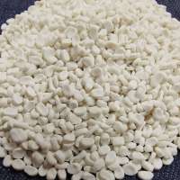 MASTER BATCH FILLER RAW MATERIALS